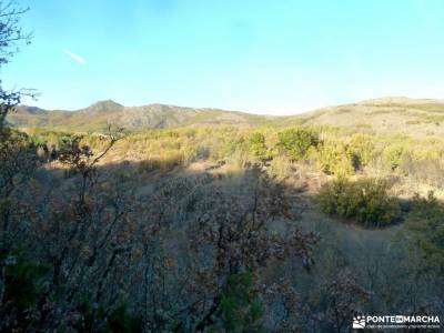 Sierra del Rincón-Río Jarama; excursiones cerca de madrid con niños excursion sierra nevada bosqu